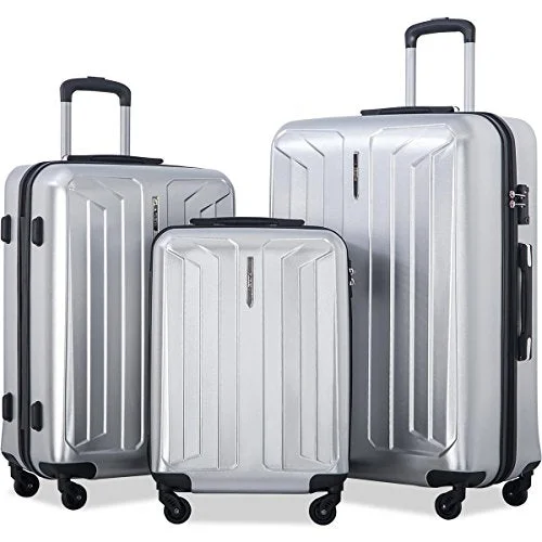 Flieks 3 Piece Luggage Set Spinner Suitcase - TSA Approved - High/Low Temperature Resistance - 20/24/28in (Silver)