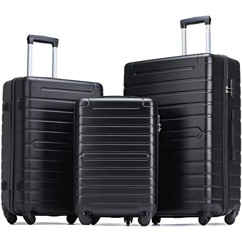 Flieks Luggage Sets 3 Piece Spinner Suitcase Lightweight 20 24 28 inch (Classic Black)